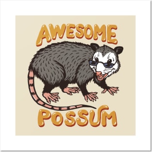 Awesome Possum :) Posters and Art